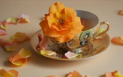 Rose: More Than a Valentine Symbol