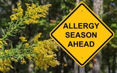 Seasonal Allergies: Achoo!