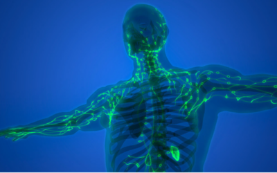 Love your Lymph