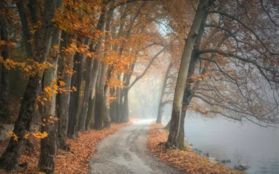 Autumn: A Time of Grief and Inspiration, Gathering and Letting Go